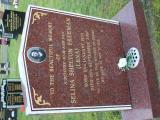 image of grave number 807356